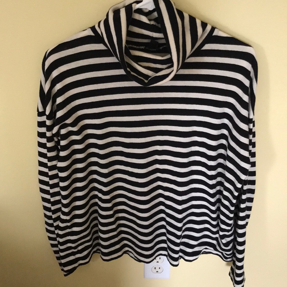 Jcrew turtle neck sweater (stripped)
